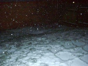 030102_nightsnow.jpg