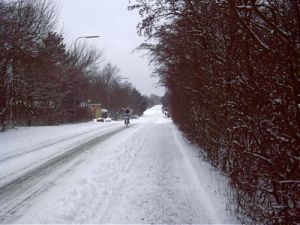 030102_opensnowroad.jpg