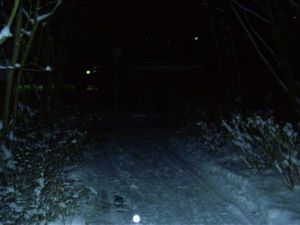 030103_snownight1.jpg