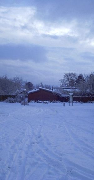 030105_tallsnow.jpg