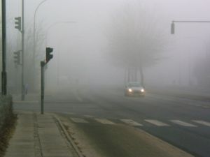 030225_fogday.jpg