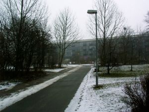 030307_lilsnow.jpg