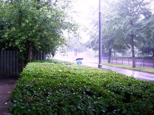 030701_rain.jpg