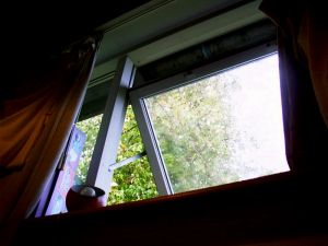 030831_window.jpg