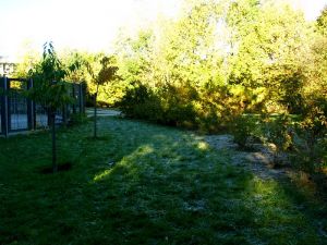 031014_frost.jpg