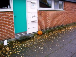 031104_pumpkin.jpg