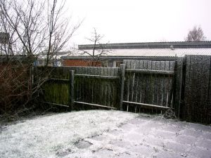 040113_snow.jpg