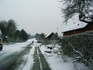 040125_snow1.jpg