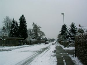 040125_snow2.jpg