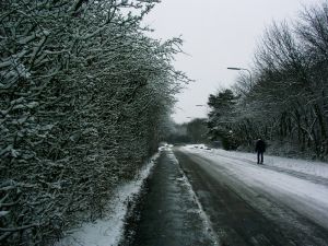 040125_snow3.jpg