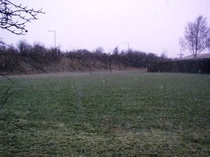 040323_snowmorn.jpg