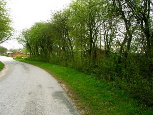 040423_roadside.jpg