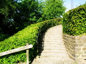 040521_stairs.jpg