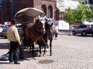 040603_horsecarriage.jpg