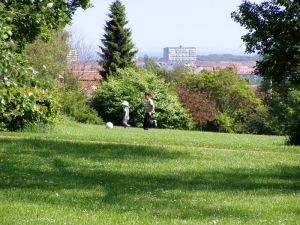 040613_childrenpark.jpg