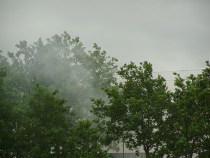 040614_smoke.jpg