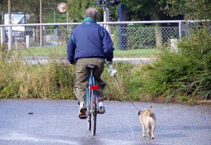 040921_bikedog.jpg