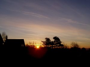 041124_morning.jpg