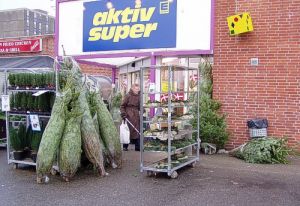 041125_xmastrees.jpg