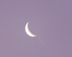 041208_moon.jpg