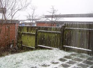 041224_snowxmas.jpg