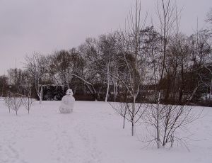 050216_snowman1.jpg