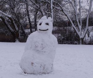 050216_snowman2.jpg
