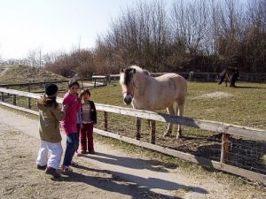 050401_kidshorses.jpg