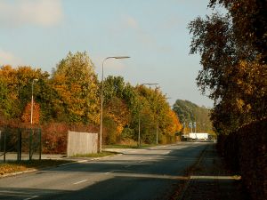 051028_fallcolours.jpg