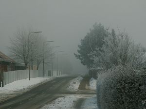 060128_snow3.jpg