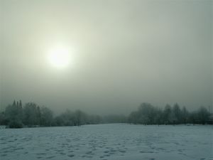 060128_snow7.jpg