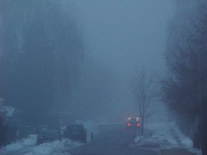 060130_fog.jpg