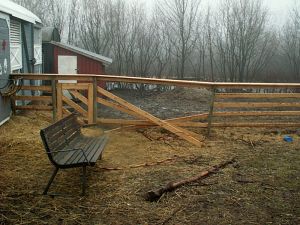 060216_brokenfence.jpg