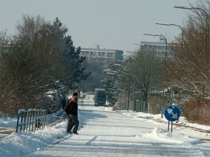 060305_snow2.jpg