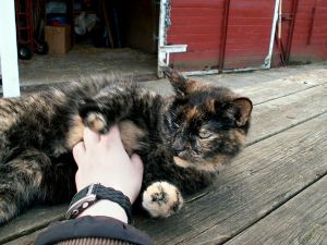 060404_ninacattummyrub2.jpg