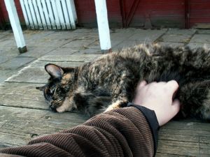 060404_ninacattummyrub3.jpg