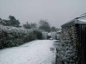 061101_snow1.jpg