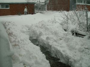 070222_snow03.jpg