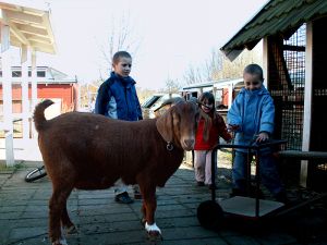 070312_magnethekids1.jpg