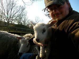 081219_lambs5.jpg