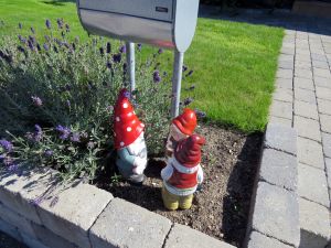 140902_gnomes.jpg