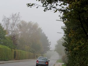 141018_fog.jpg