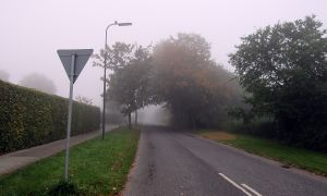 151005_fog1.jpg