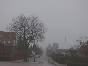 160125_fog.jpg