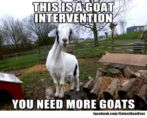 160416_mia_meme_goatintervention.jpg