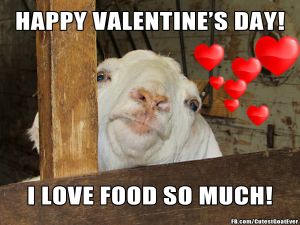 150912_mio_meme_happyvalentinesdayilovefood.jpg