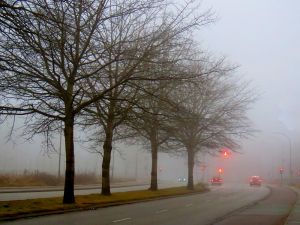 170130_fog1.jpg