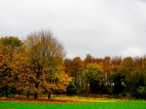 171102_fall3.jpg