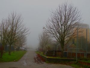 171116_fog1.jpg