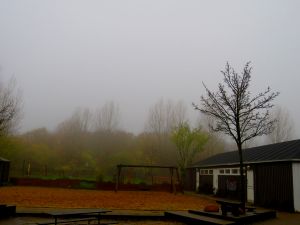 171116_fog2.jpg